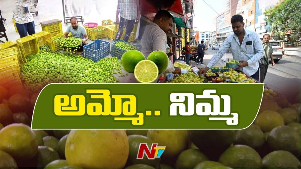 Lemon Price Hike Nellore Farmers Profit Summer Demand