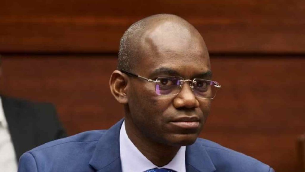 Mali Terror Attack Defence Minister Killed Jnim