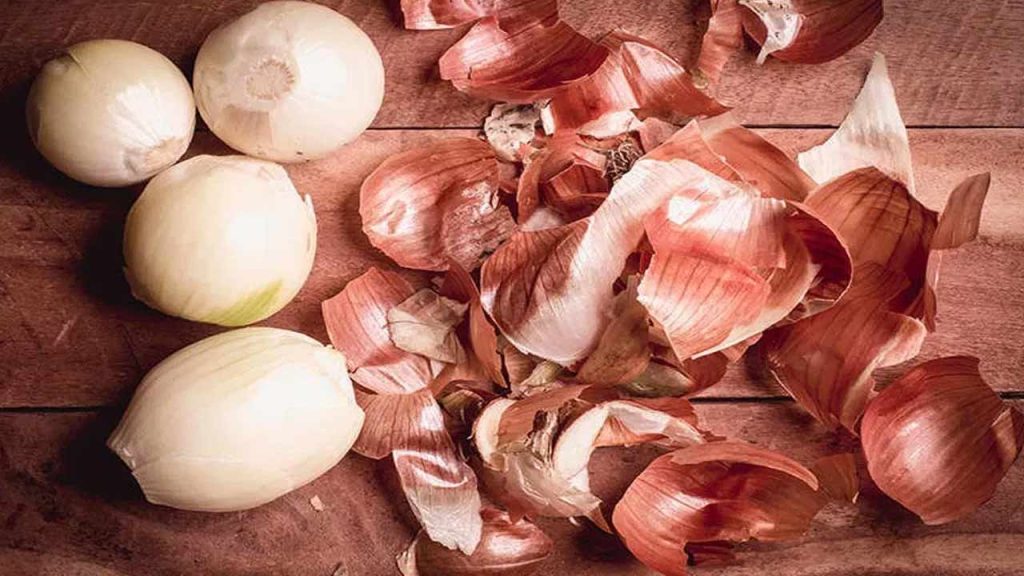 Onion Peel Fertilizer Benefits Plants