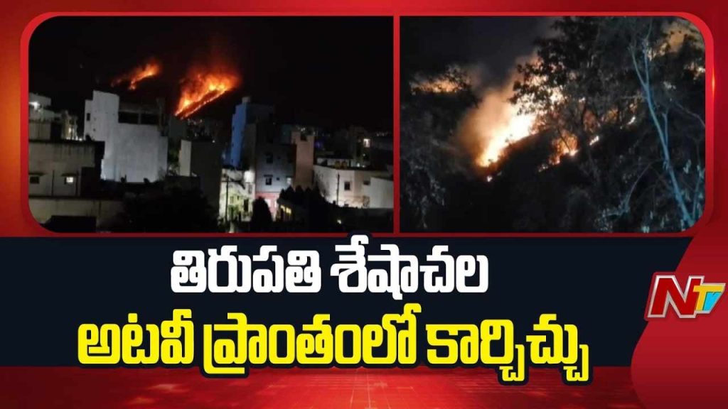 Seshachalam Forest Fire Tirupati Jeevakona Wildfire
