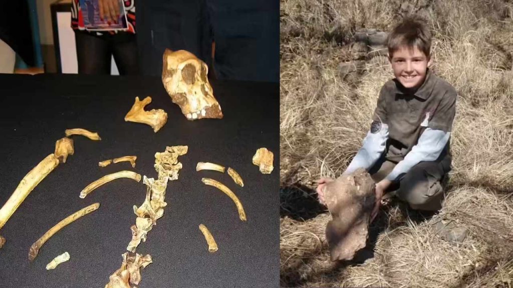 Boy Discovers Human Ancestor Fossil While Chasing Dog