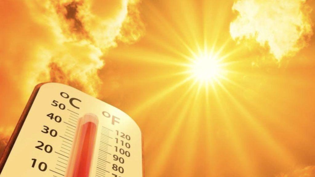 Telangana Heatwave Five Deaths Sunstroke Safety Tips