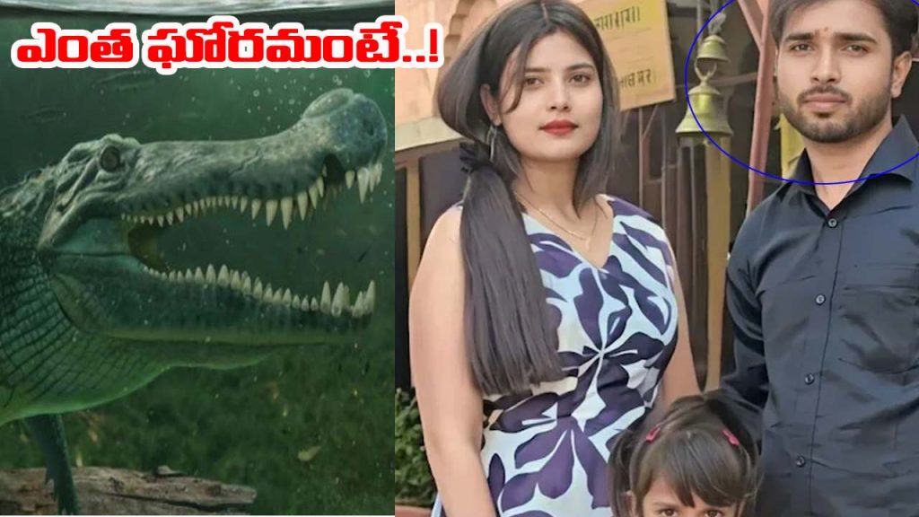 Up Man Killed By Crocodile During Mother In Law Funeral Near Ghaghra River