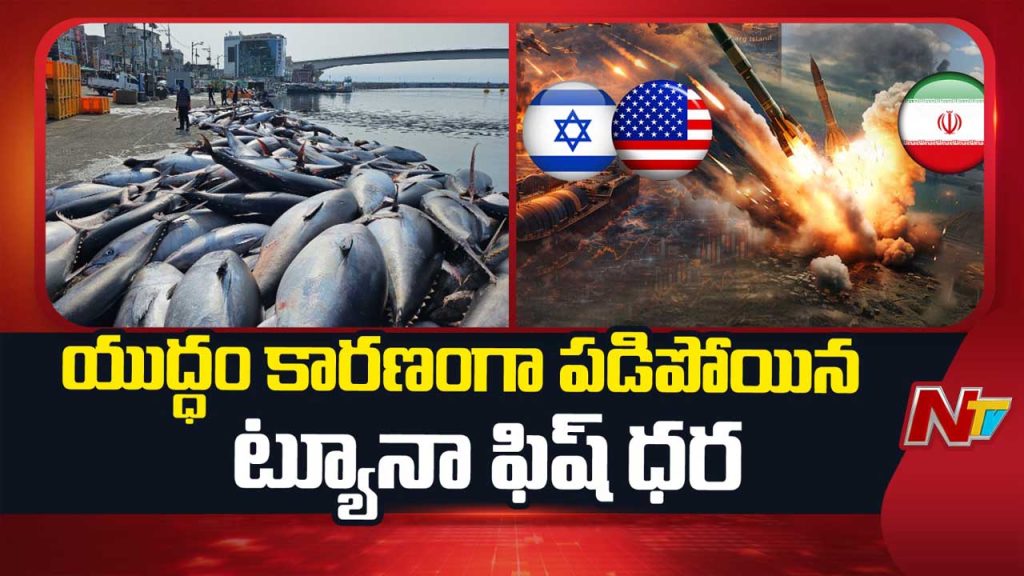 West Asia War Impact Tuna Fish Exports Visakhapatnam Losses