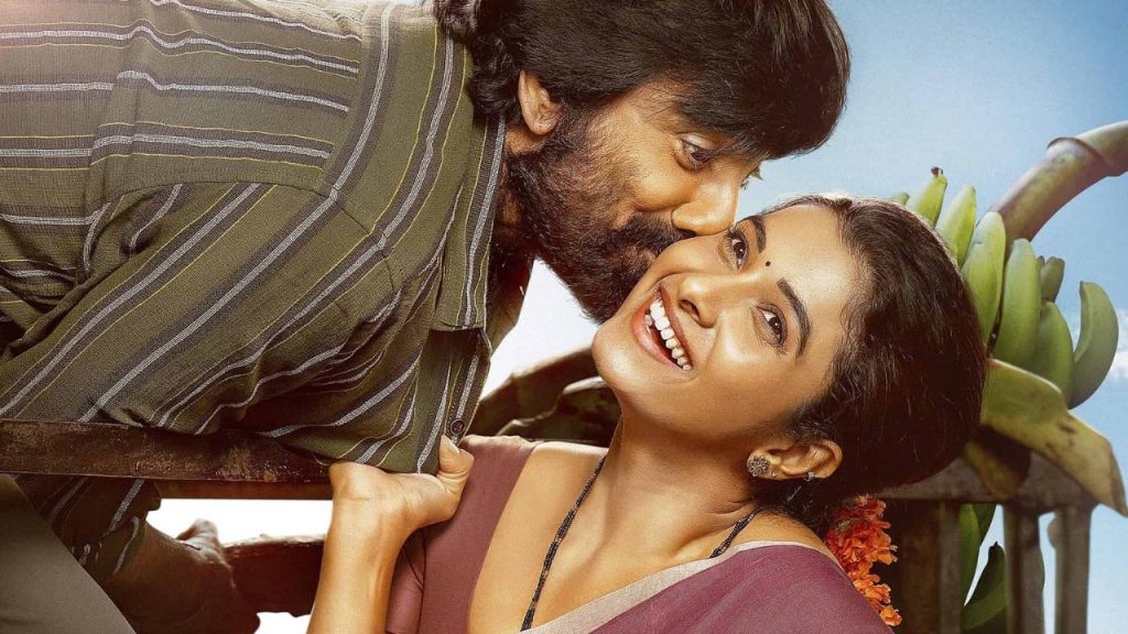 Ravi Teja Irumudi Movie Shooting Last Schedule Updates