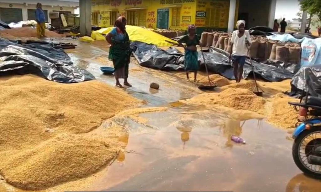 Siddipet Rains Crop Damage Husnabad Farmers Loss
