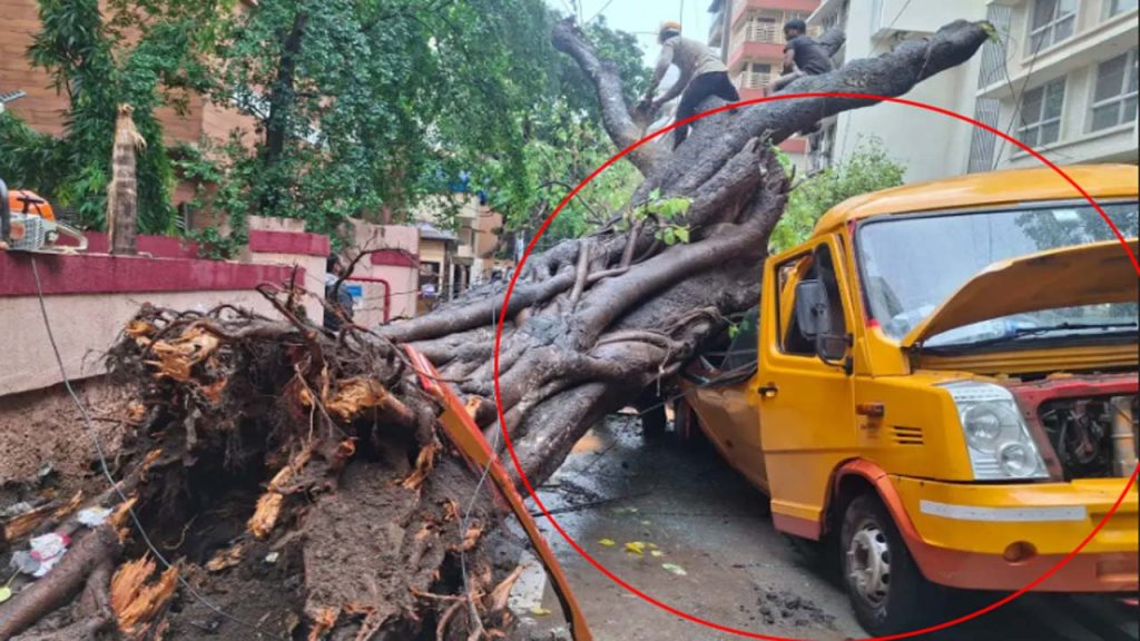 Mumbai Chembur School Van Tree Collapse 11 Year Old Student Killed