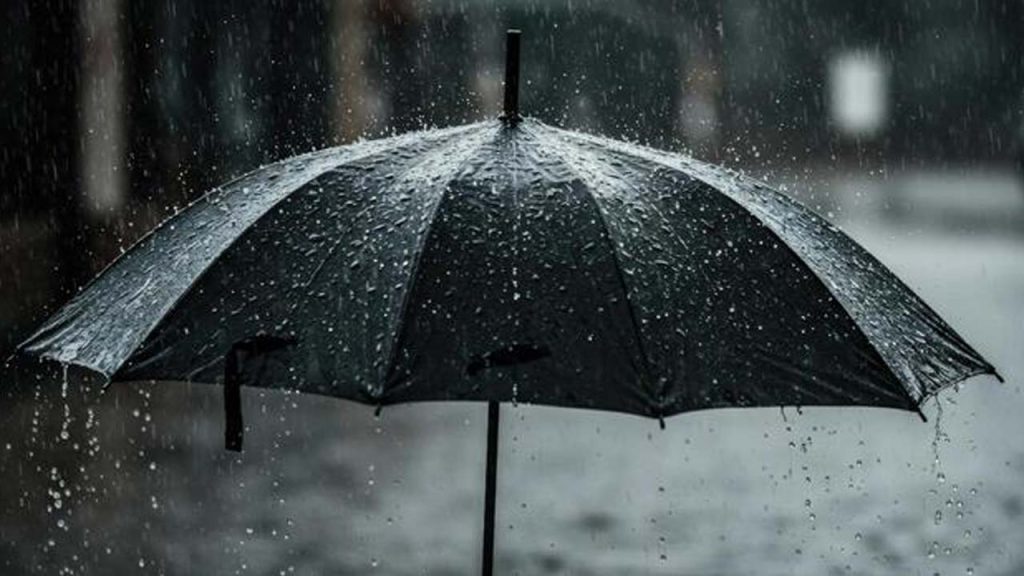 Black Umbrella Benefits Science