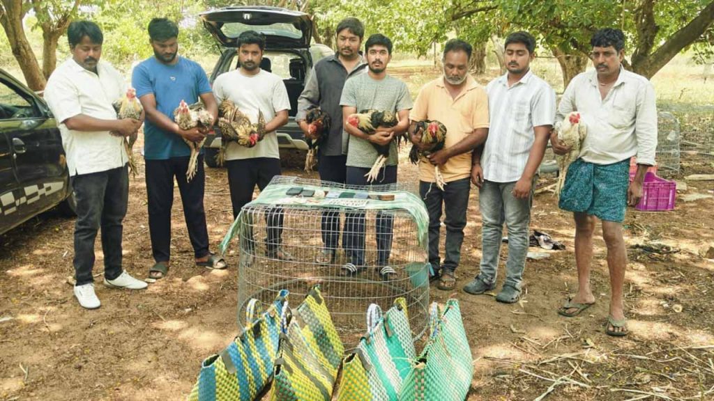 Shamshabad Burujugadda Thanda Illegal Cockfight Police Raid Arrests