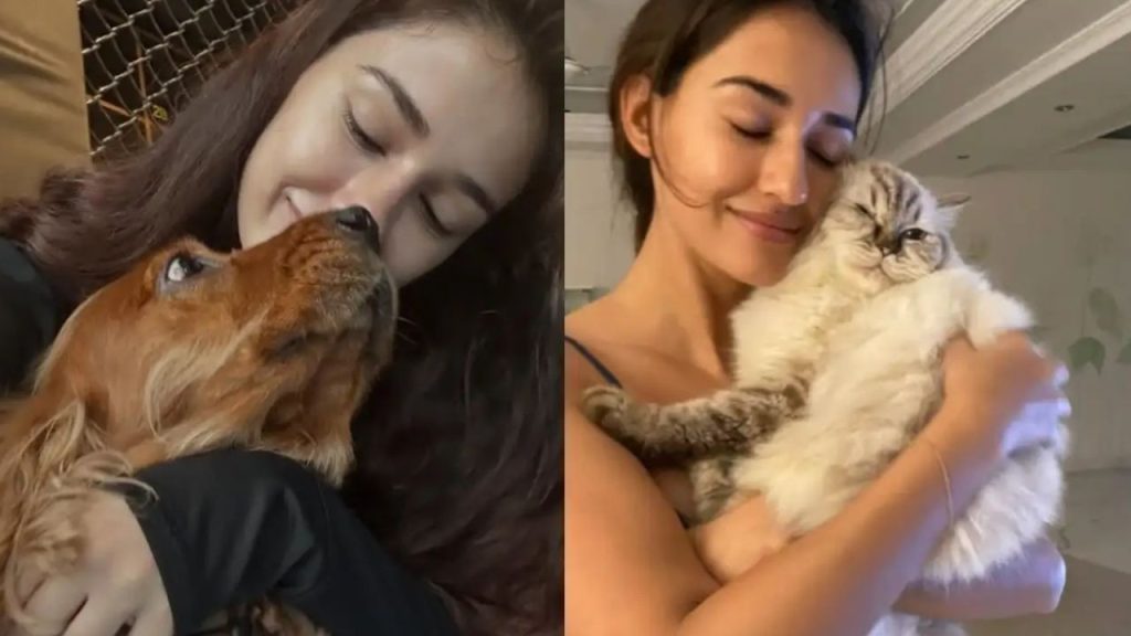 Disha Patani Mourns Pet Cat Jasmines Death Shares Emotional Tribute On Instagram