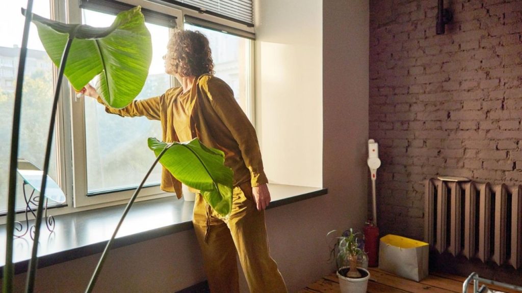 Home Bad Smell Causes Why Your House Smells Bad And How To Keep It Fresh