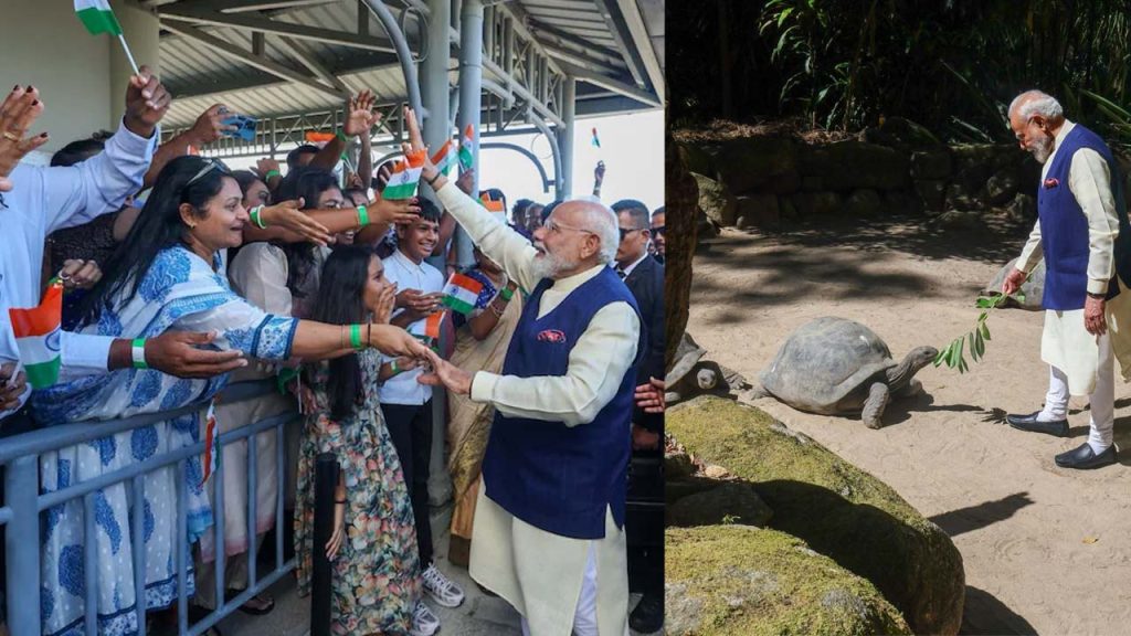 Pm Modi Seychelles Visit Coco De Mer Tree Plantation India Seychelles Relations