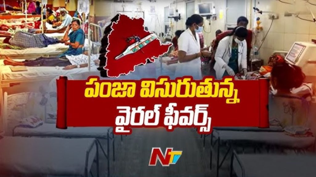 Malaria Scare In Parvathipuram Manyam Tribal Villages Report Rising Fever Cases