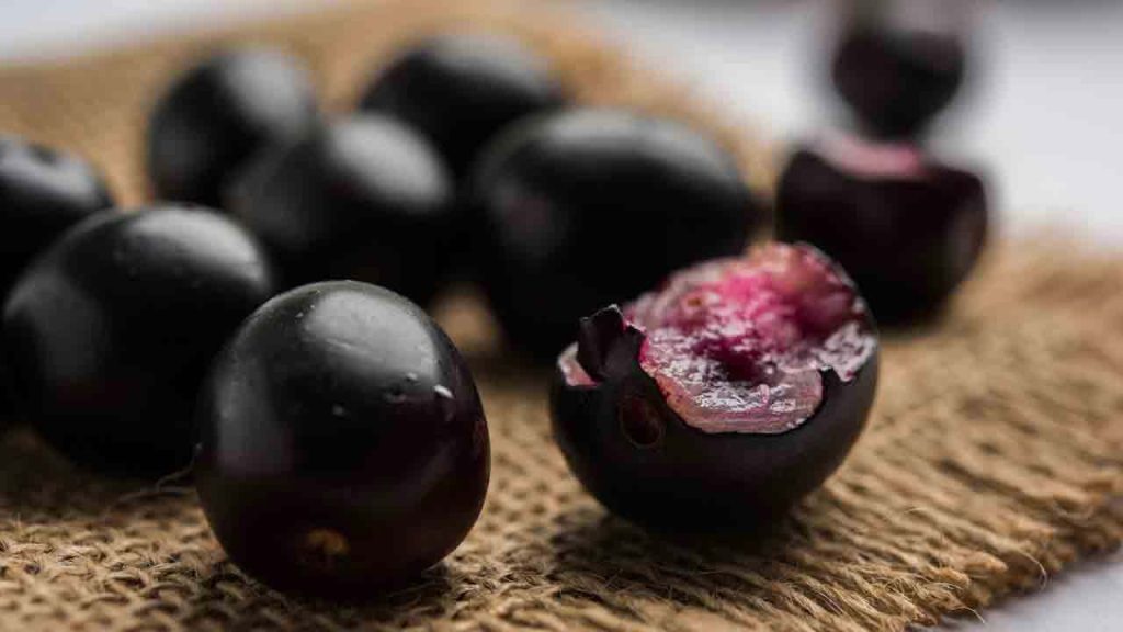 Jamun Seeds Diabetes Ayurvedic Remedy