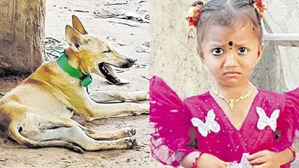 Tuni Missing Child Mystery Kakinada Toddler Gnaneswari Pet Dog Dies Search