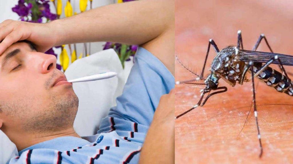 Dengue Malaria Monsoon Safety Tips