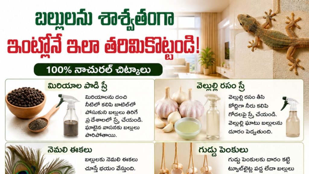 How To Get Rid Of Lizards Permanently Home Remedies