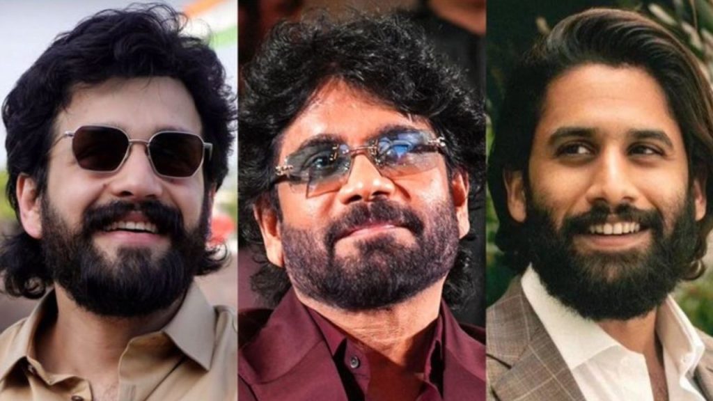Akkineni Multistarrer Delayed Nagarjuna Naga Chaitanya And Akhil Project Reportedly Put On Hold