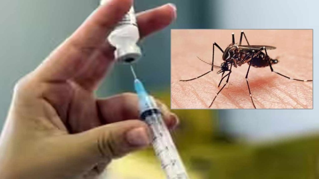 India Approves First Dengue Vaccine Qdenga Dcgi Clearance Who Recommendation Eligibility