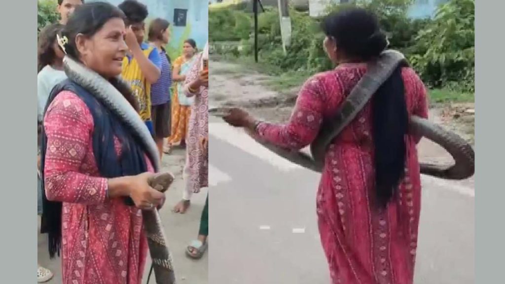 Woman Rescues 10 Foot King Cobra From House In Bihar