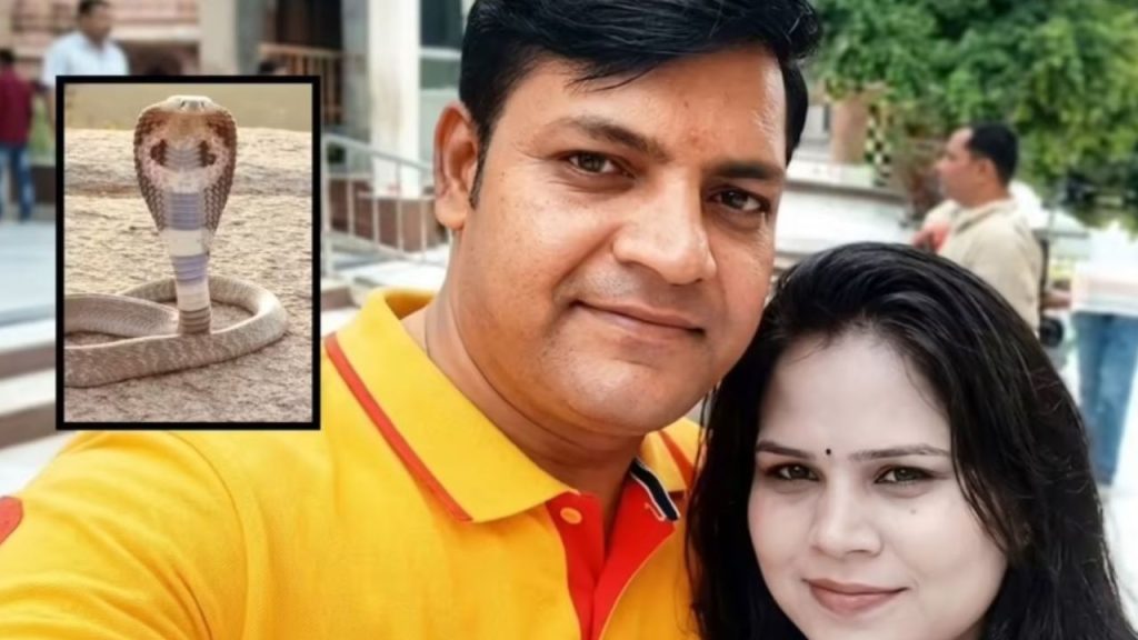 Indore Snake Murder Case Man Gets Life Sentence For Killing Wife Using Cobra