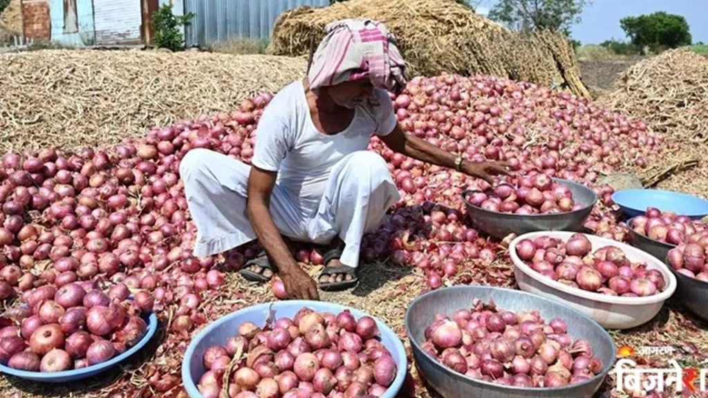 Government Raises Onion Procurement Price To Rs 2125 Per Quintal Will Onion Prices Rise Further