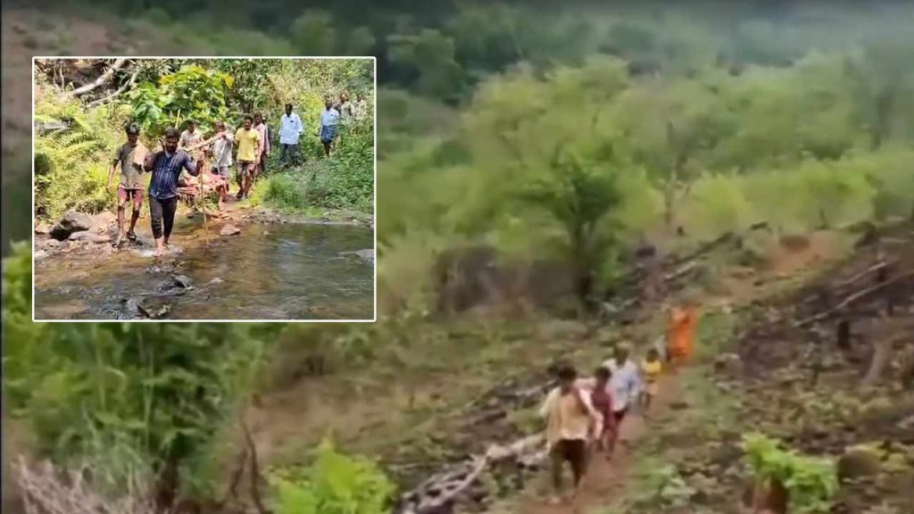 Tribal Girl Carried In Doli After Snake Bite In Polavaram Agency Due To Lack Of Ambulance