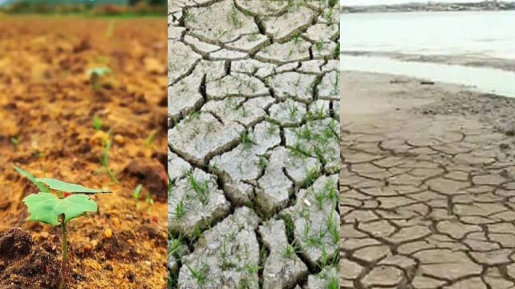 Telangana Faces Drought Threat As Rainfall Deficit Raises Farmers Concerns