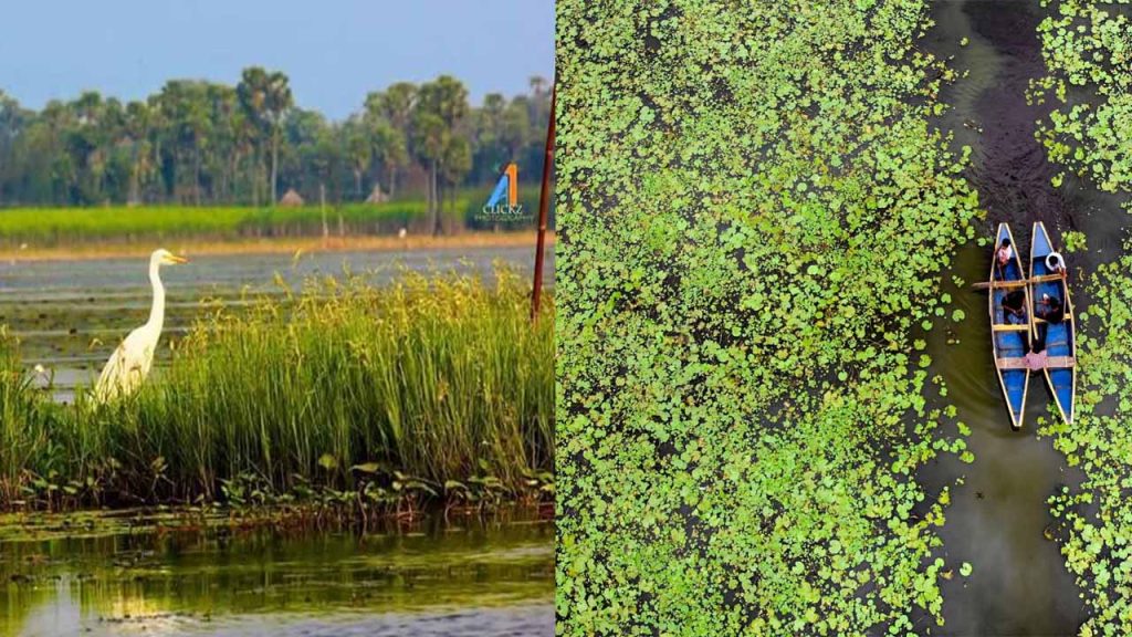 Ap Deputy Cm Pawan Kalyan Orders Conservation Kondakarla Ava Wetland
