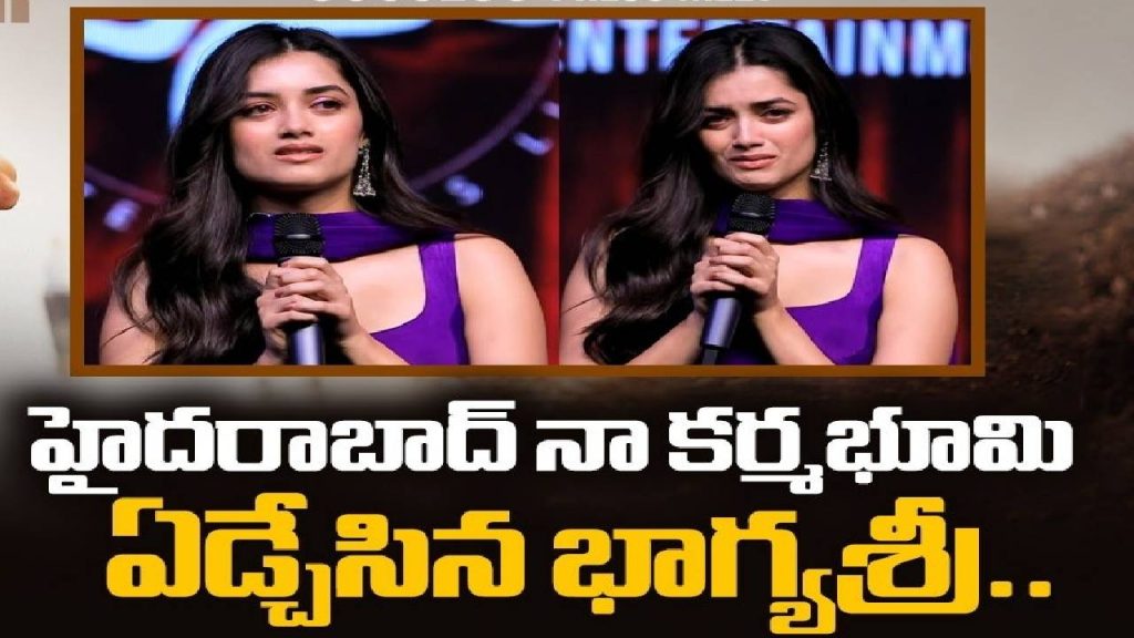 Heroine Bhagyashri Emotional Speech Tears At Lenin Movie Success Meet