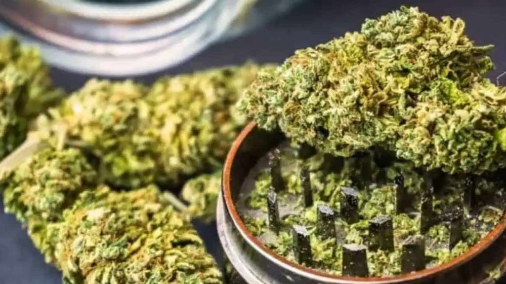 H New Police Bust Ganja Speed Post Racket
