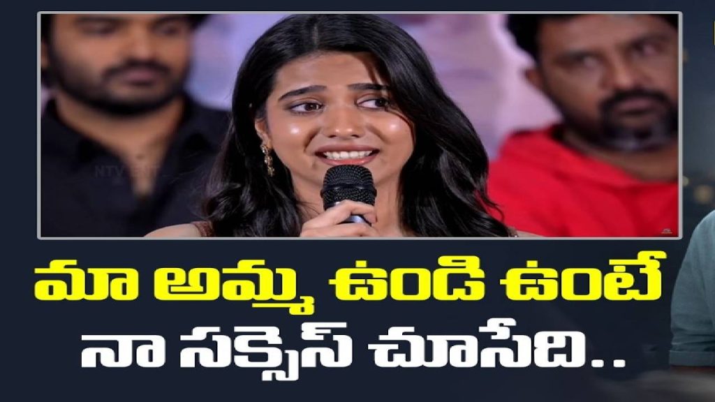 Actress Sri Gouri Priya Emotional Speech At Chennai Love Story Movie Success Meet