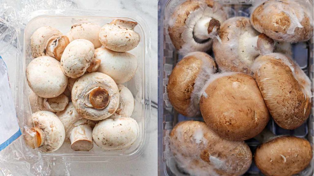 How To Store Mushrooms Fresh