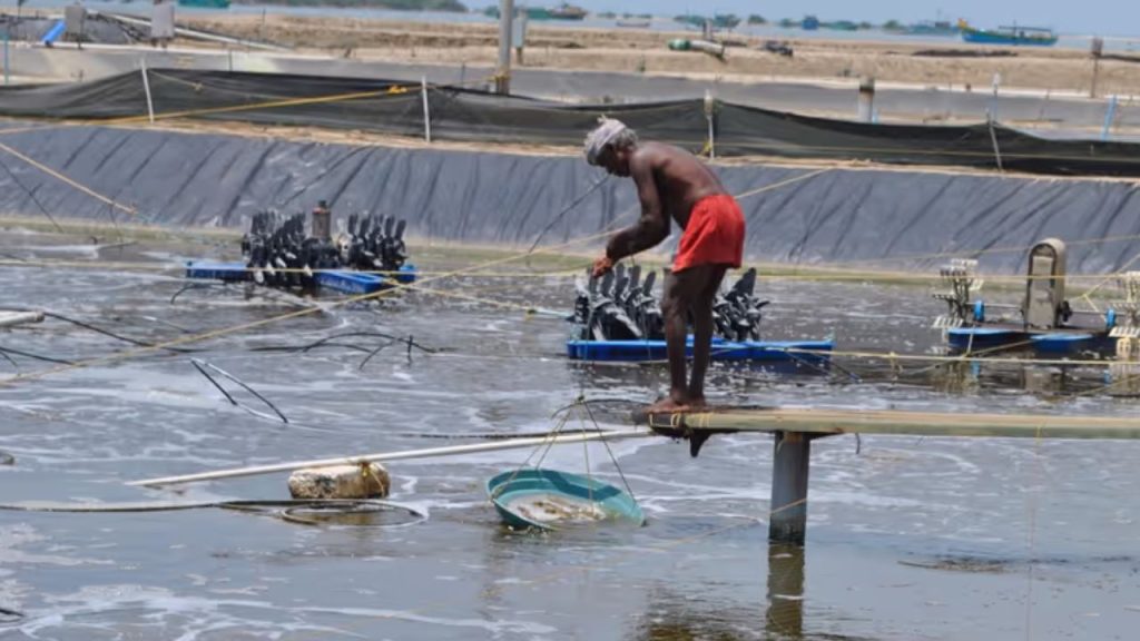 Ap Govt Approves Rs 1 50 Power Supply For Aqua Farmers