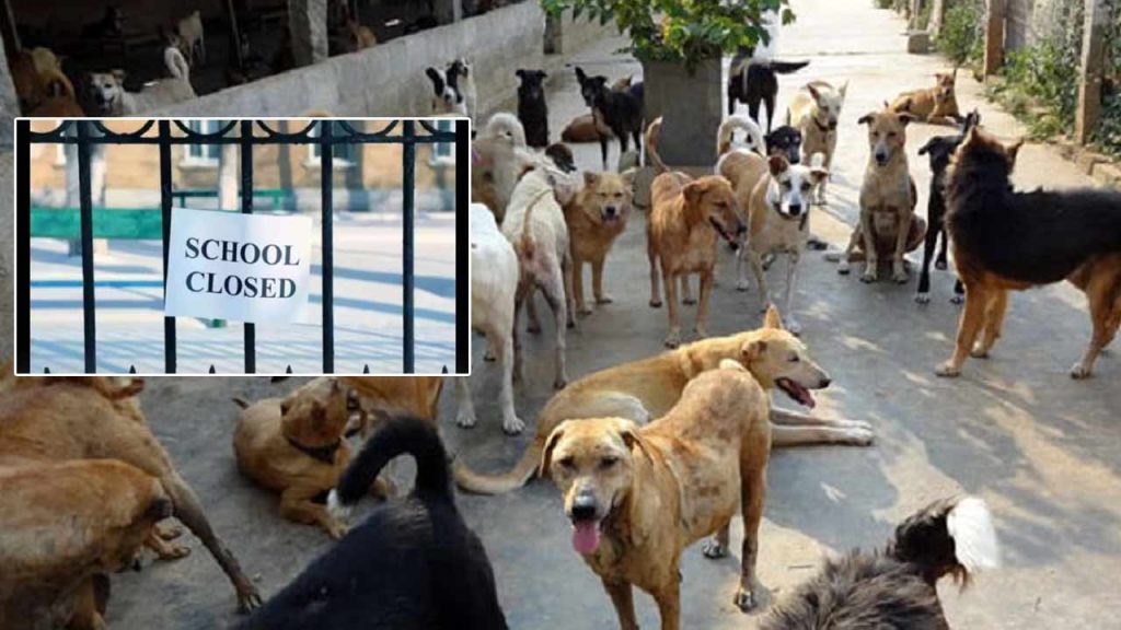 Chamoli Schools Closed For 4 Days Due To Dog Menace