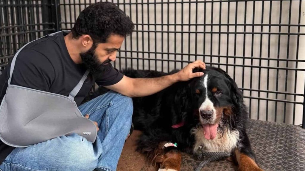 Jr Ntrs Emotional Farewell To Pet Dog Bagheera Goes Viral