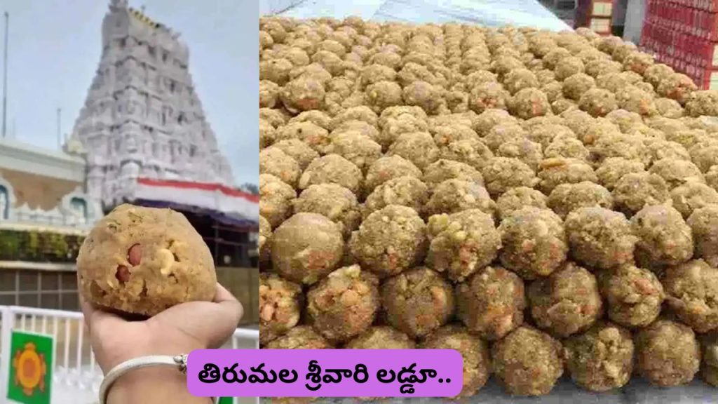 Tirumala Srivari Laddu Completes 311 Years The Sacred Prasadam Glorious Journey