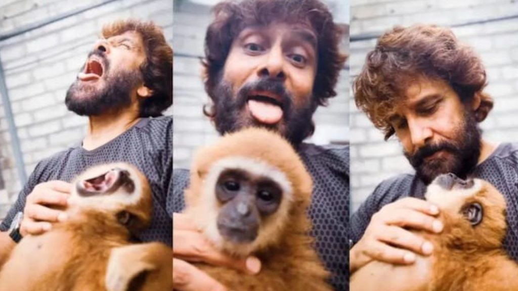 Vikram Gibbon Controversy Forest Department Investigates Viral Video