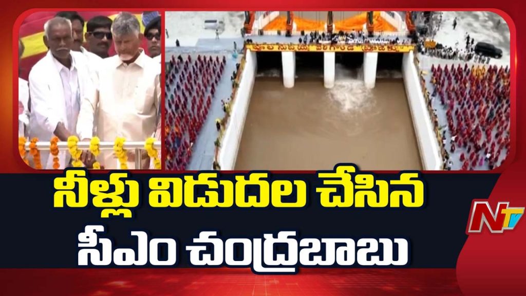 Veligonda Project Phase 1 Cm Chandrababu Inaugurates Project Releases Krishna Water