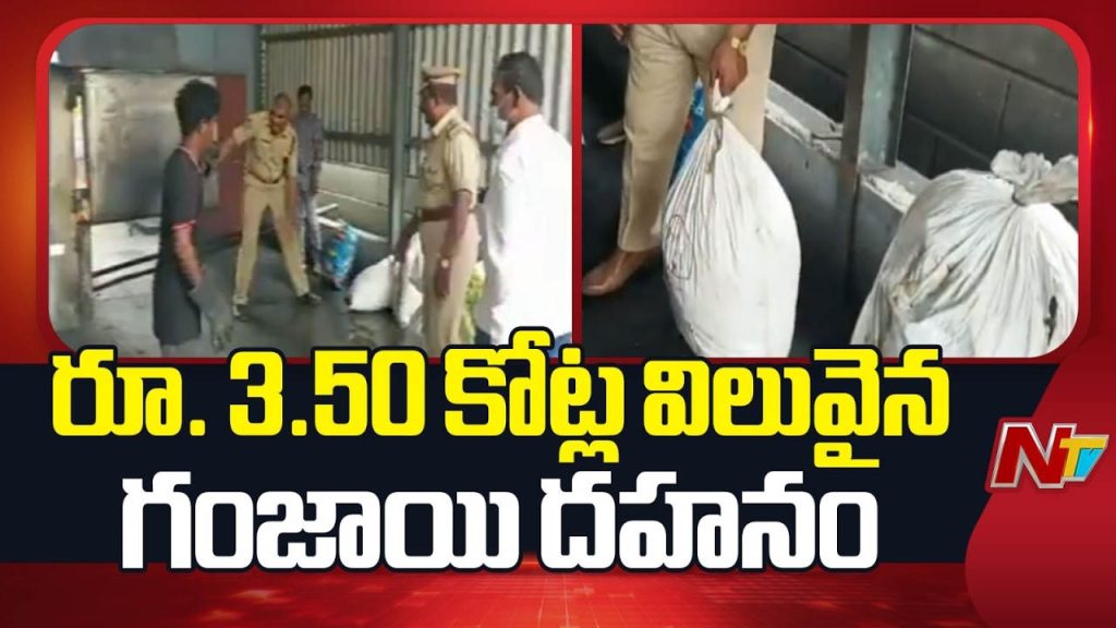 Rs 3 5 Crore Worth Ganja Destroyed Khammam Kothagudem Excise