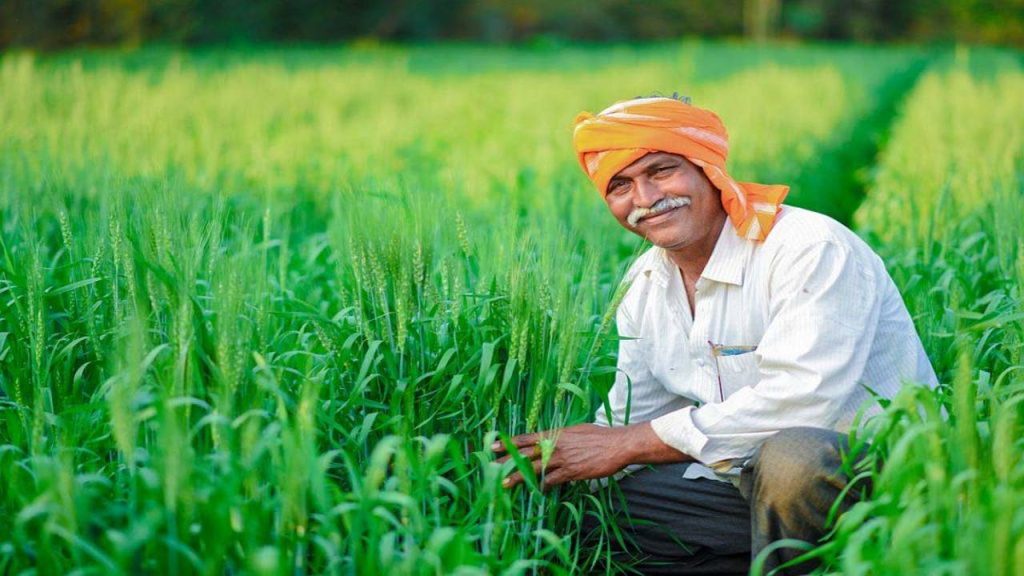 Central Cabinet Msp Hike Rabi Crops 2027 28 Safflower