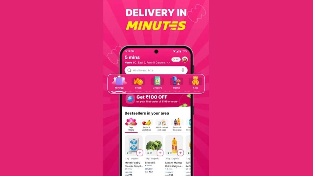Flipkart Minutes App 10 Minute Delivery Products Features And More