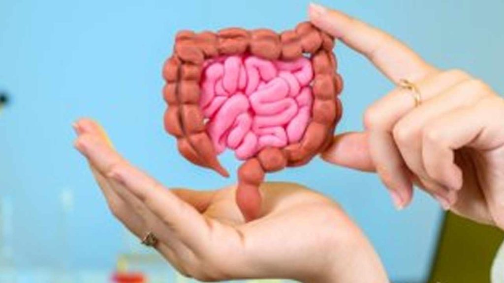 5 Foods For Better Gut Health Gastroenterologist Recommendations