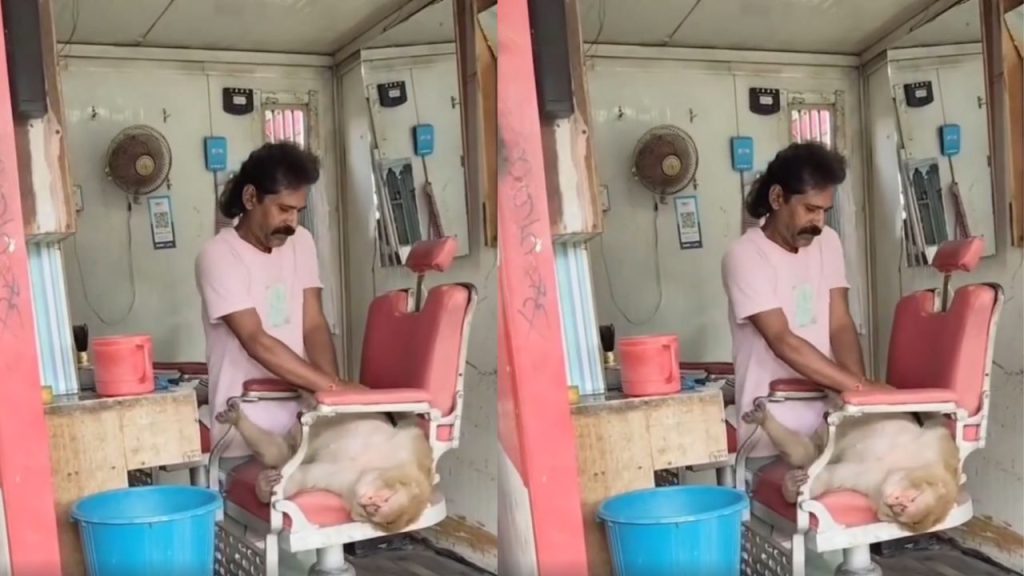 Monkey Head Massage Barber Shop Video Goes Viral