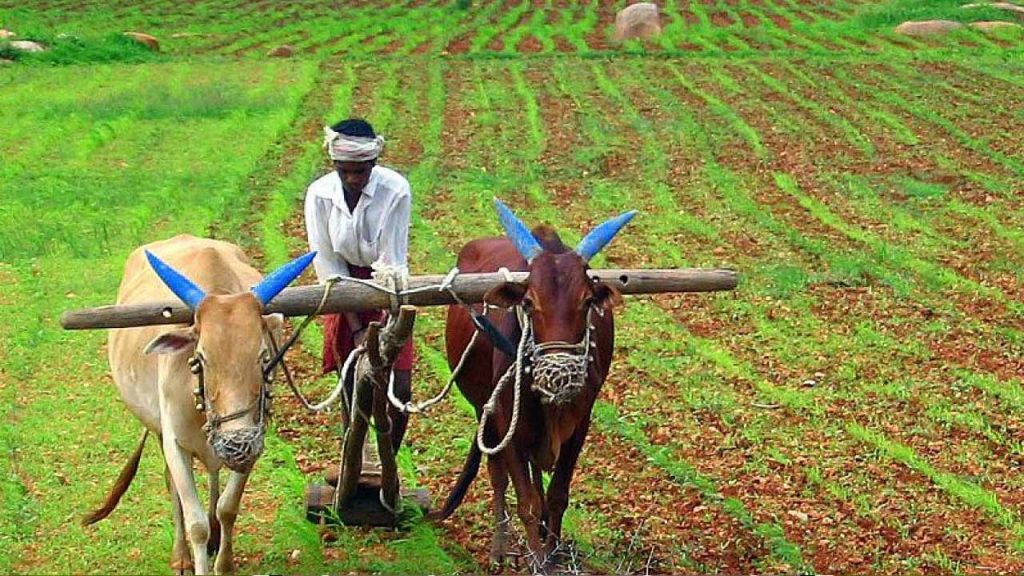 Telangana Pulses Cultivation Tummala Nageswara Rao Rabi Conference