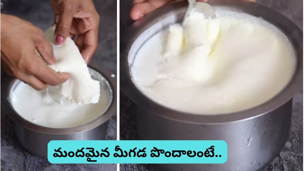 1 5 6 Formula For Thick Milk Cream How To Get More Malai At Home