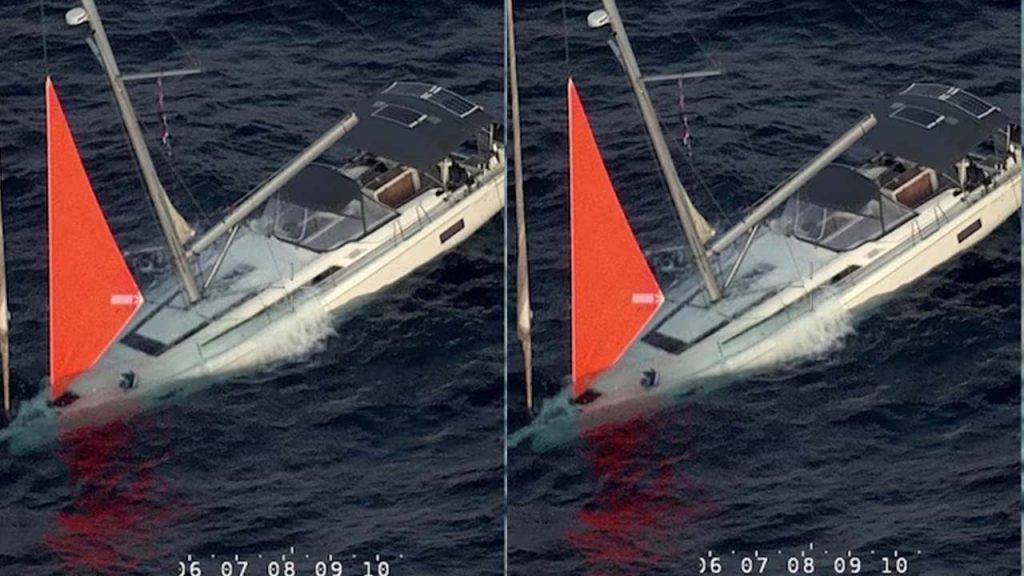 South Pacific Whale Collision Tai Tam Yacht Sinks Four Sailors Rescued