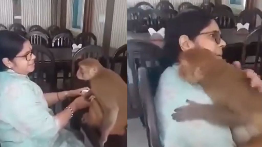 Badrinath Woman Chants Shri Ram Monkey Reaction Video Viral